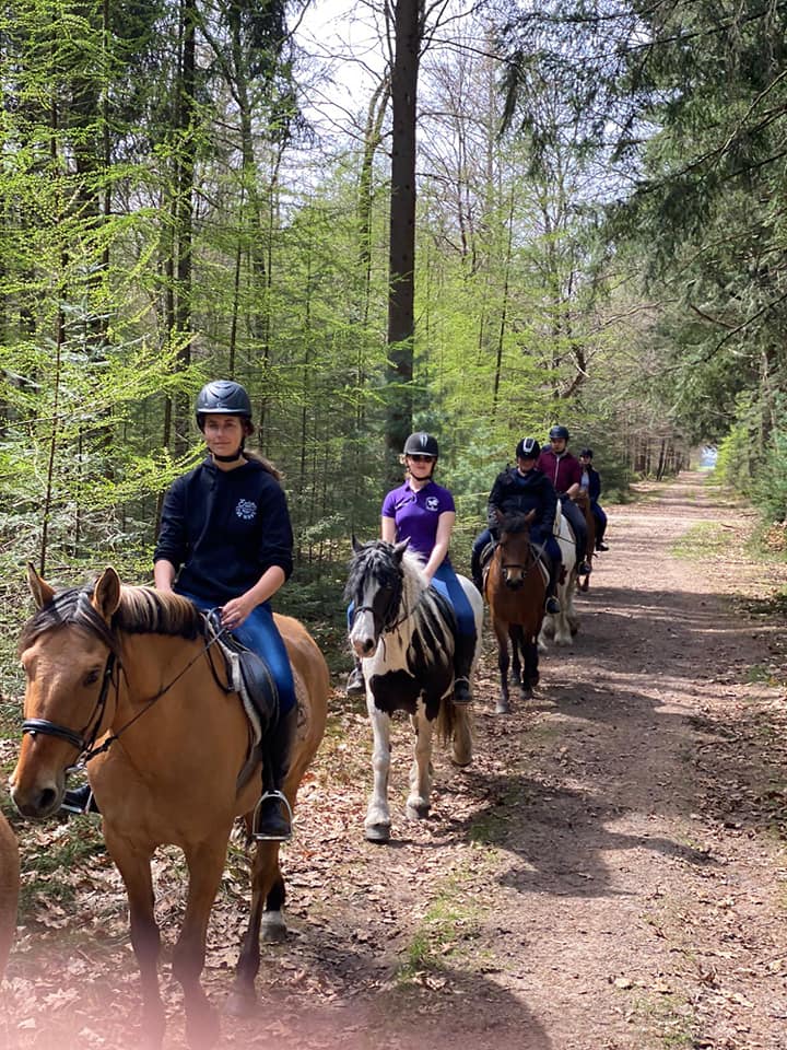 Trailride at Gasselte